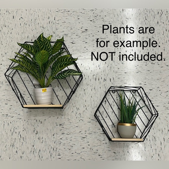 Hexagon Shelves - Picture 1 of 7